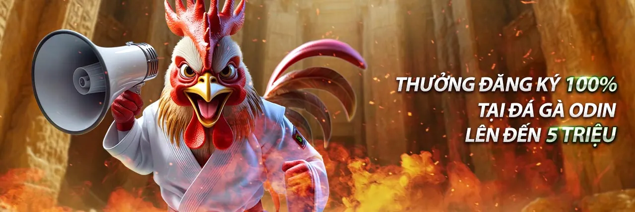 Đội ngũ hỗ trợ khách hàng của 5biz trang chủ chính thức 2026